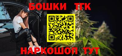 индика Партизанск