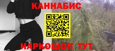 индика Партизанск