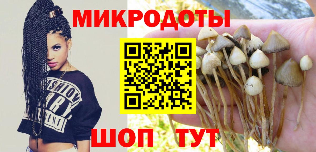 Галлюциногенные грибы GOLDEN TEACHER  Вход с VPN  Галлюциногенные грибы мицелий  Рыбинск 